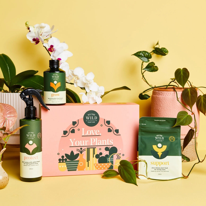 Love Giftbox Essential Plant Care Kit